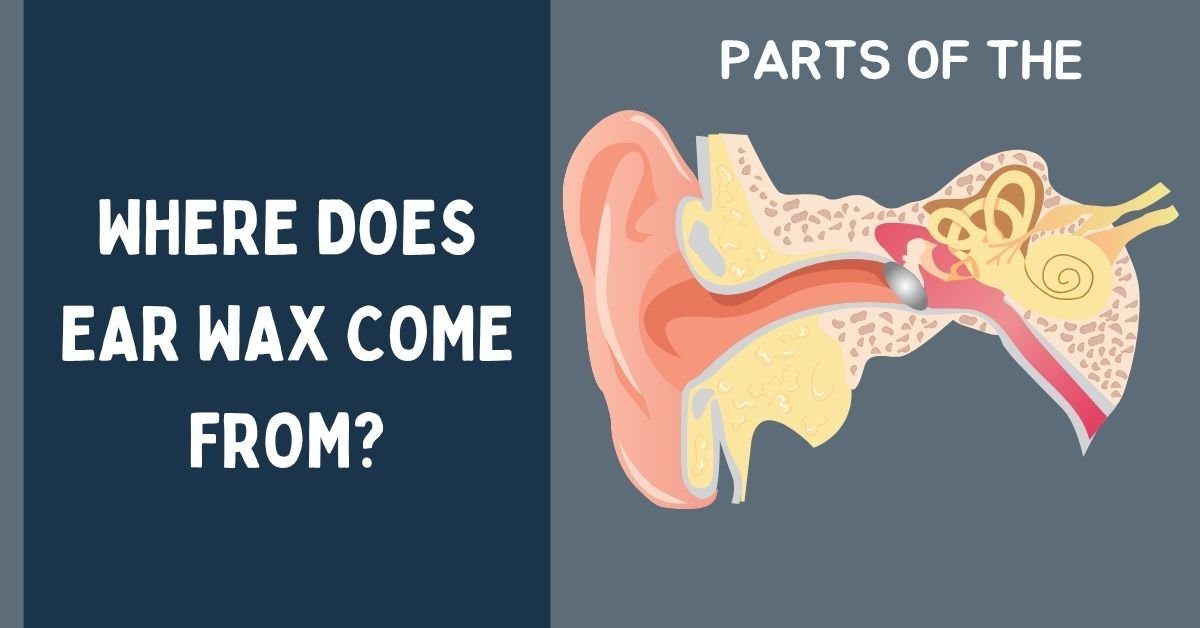 Where Does Ear Wax Come From? (Complete Guide)