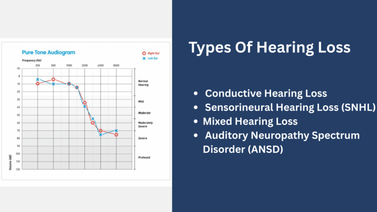 Best Invisible Hearing Aids 2026